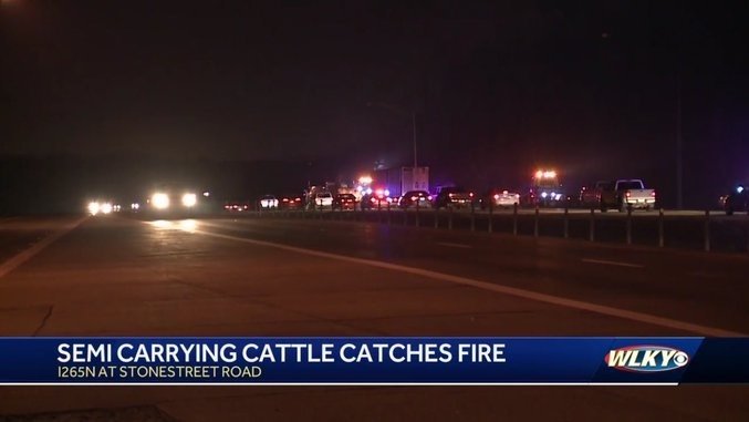 Folks driving along Interstate 265 had a bit of a traffic headache Tuesday morning. 3 a.m., a semi that was carrying cattle somehow caught fire on the northbound side of the highway near Stonestreet Road.