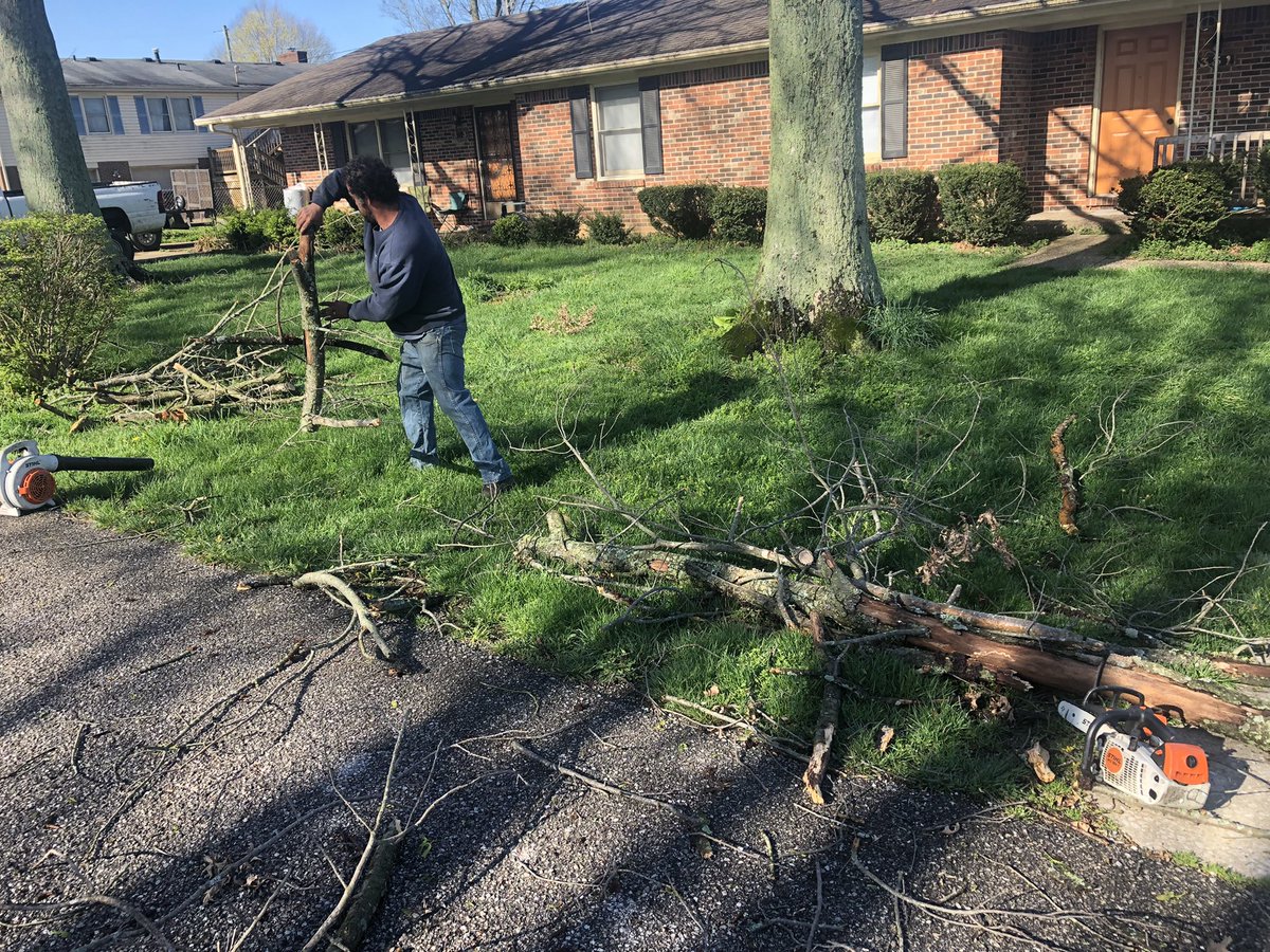 Here in Shelbyville, KY, getting a closer look at the damage caused from last nights storm.  Co. leaders say 1100+ ppl lost power last night.   This is one of them, Carlos Robles. He owns a tree removal service.