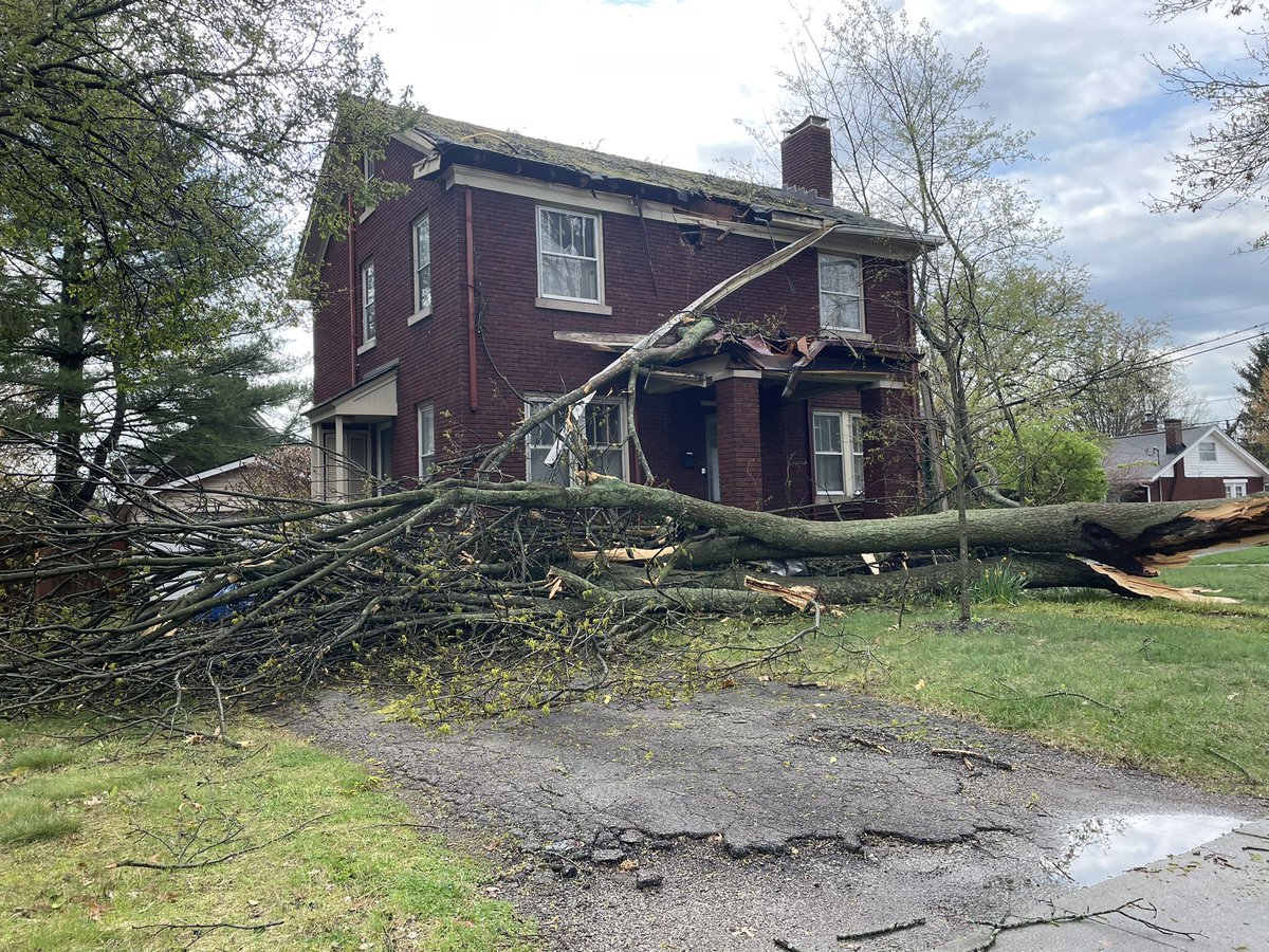 Another home damaged by a fallen tree. This one is at the corner of Tremont Ave and Kastle Rd in Lexington